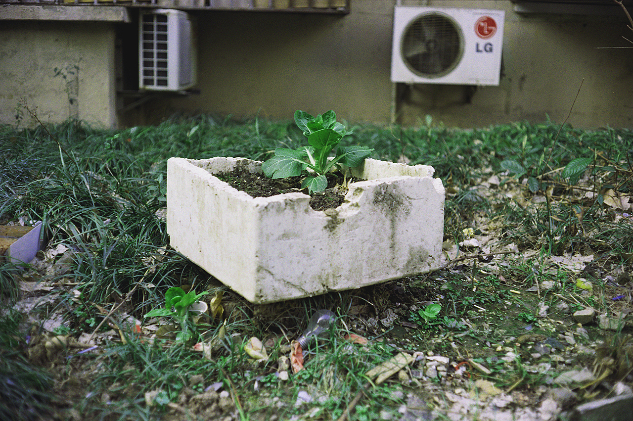 Canonet QL17 GIII 小旁轴配Kodak Proimage 100