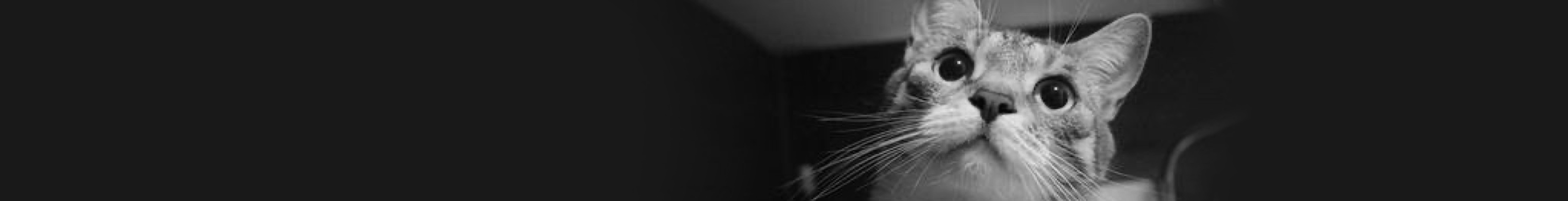 伩西的个人主页（封面预览） - 主页封面设置 - 站酷设计师伩西原创素材 - 站酷ZCOOL