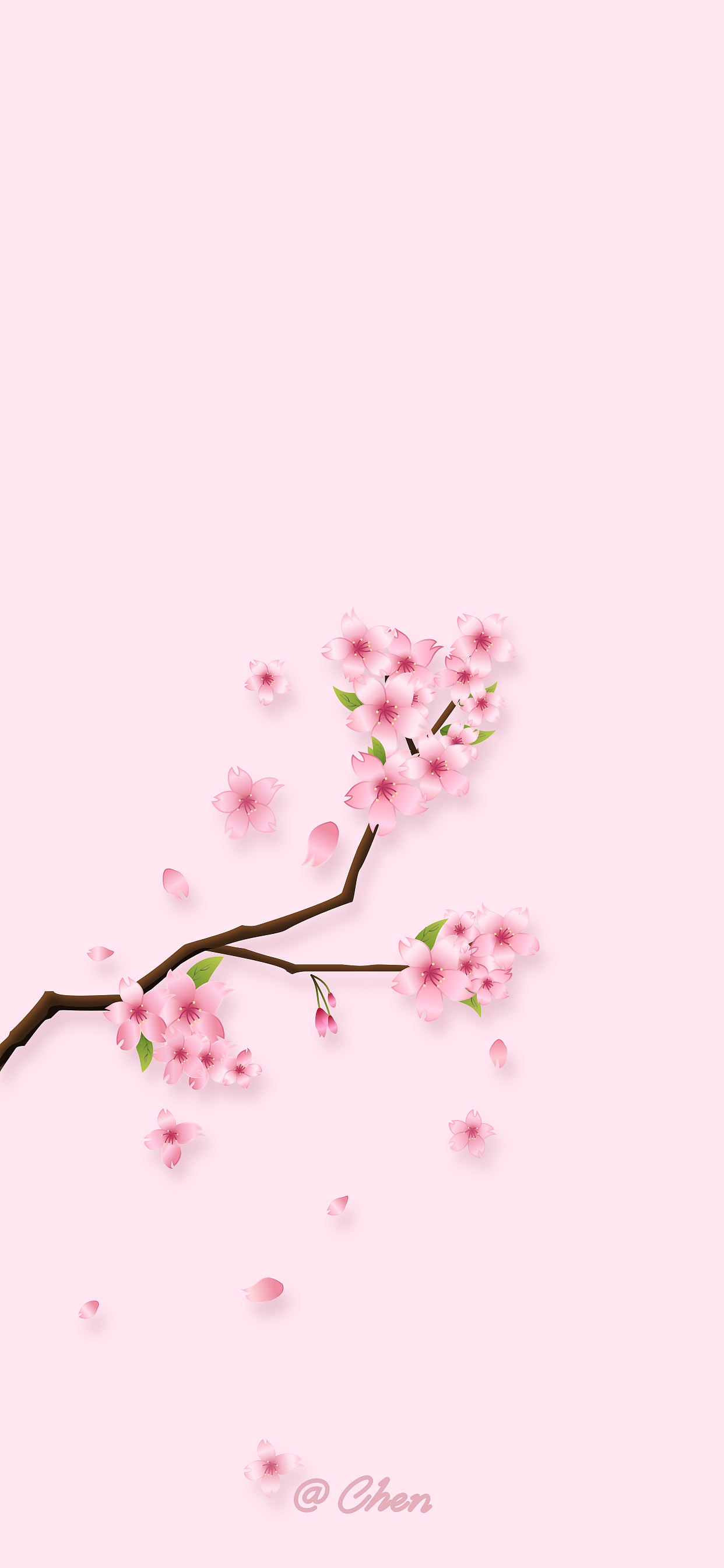 自娱自乐手机屏保樱花