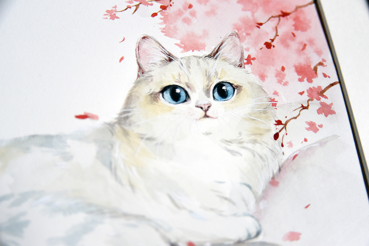 水彩猫咪手绘