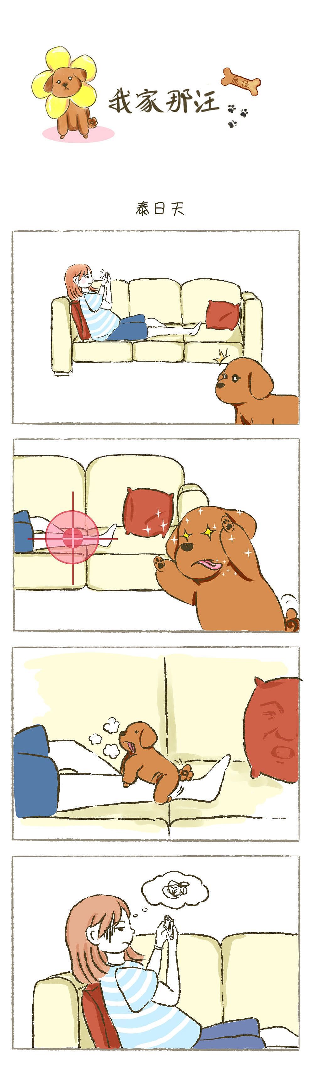 泰日天本性,改不了,我的蠢泰迪