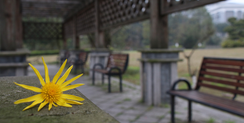 itmyself的个人主页（封面预览） - 主页封面设置 - 站酷设计师itmyself原创素材 - 站酷ZCOOL