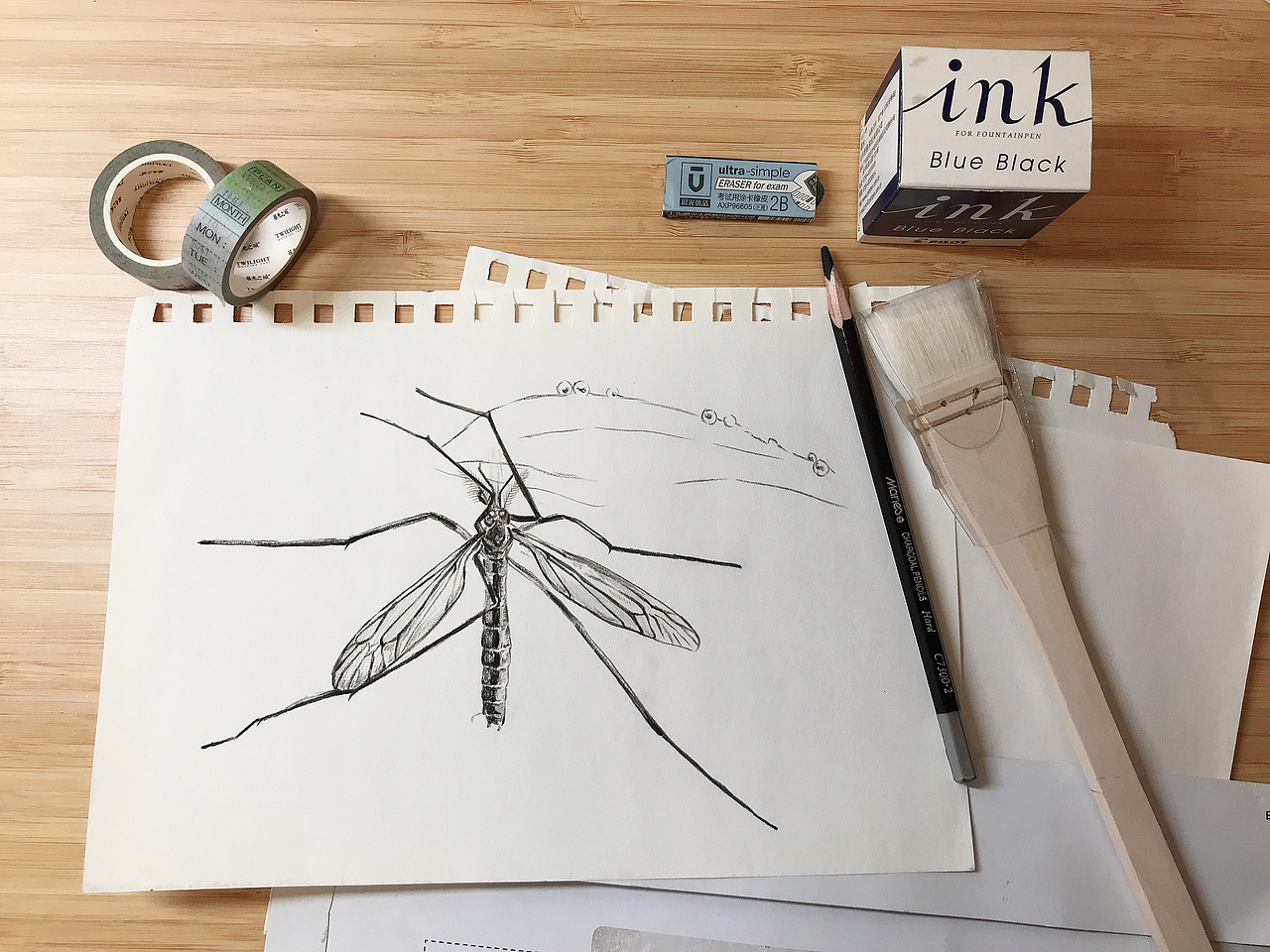 科普插画｜披上动物的外衣 