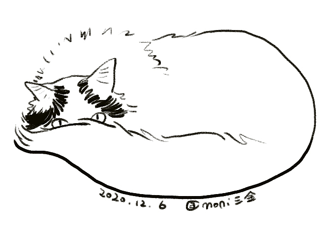 卷卷日常（图ZMjM1ODIyMDUy） - 创作习作 - 站酷设计师喵三山原创素材 - 站酷ZCOOL