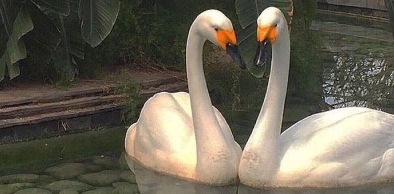 我睡教的时候不困的个人主页（背景预览） - 主页背景设置 - 站酷设计师我睡教的时候不困原创素材 - 站酷ZCOOL