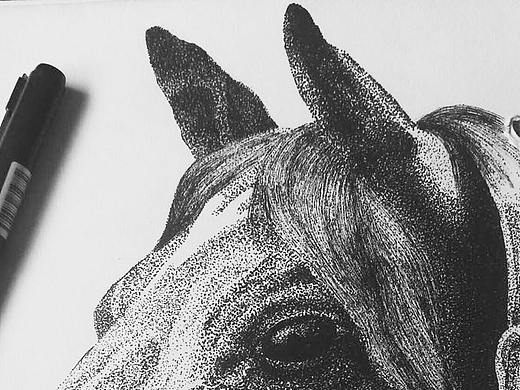 马头钢笔画插画习作