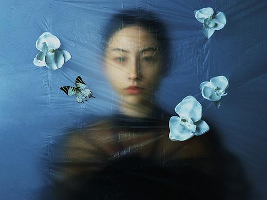 蝶恋花