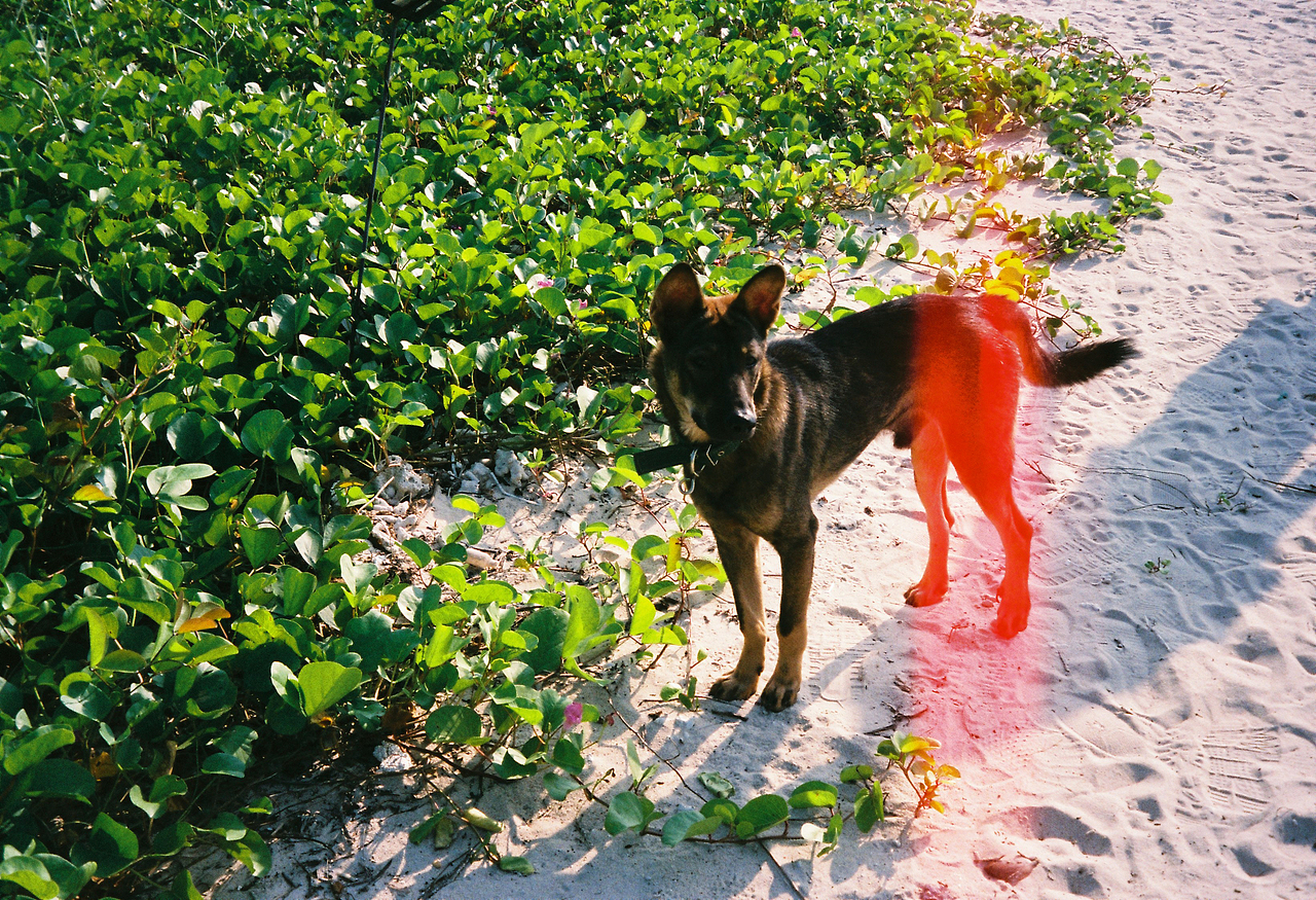 北海涠洲岛 胶片记忆