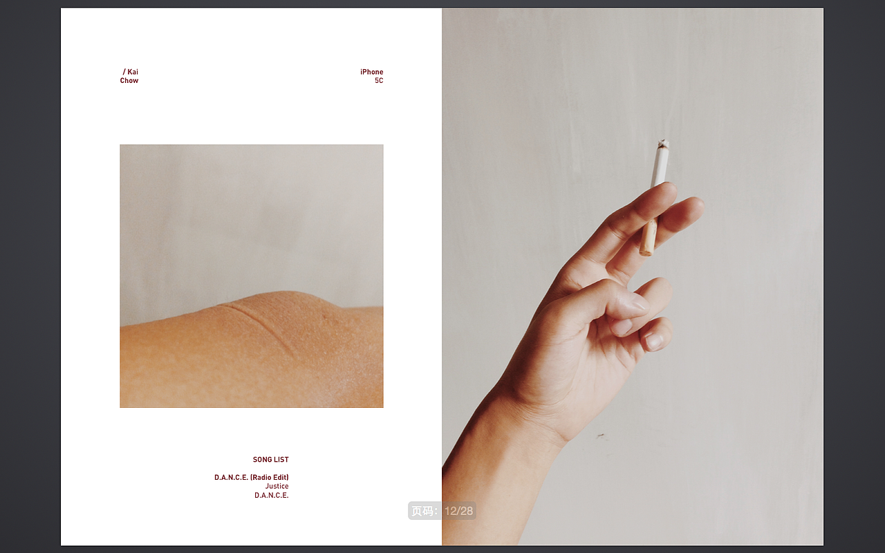 照片书:《 Fake Plastic Life 》Vol.01