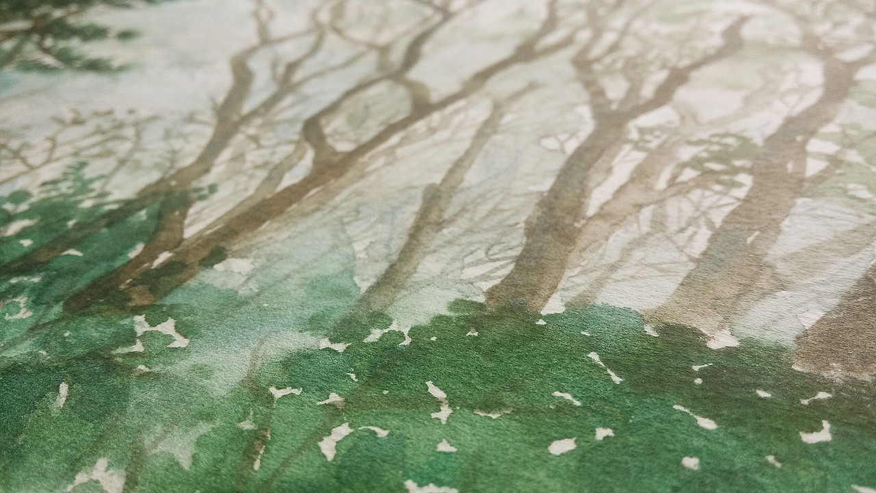 那些年的水彩画