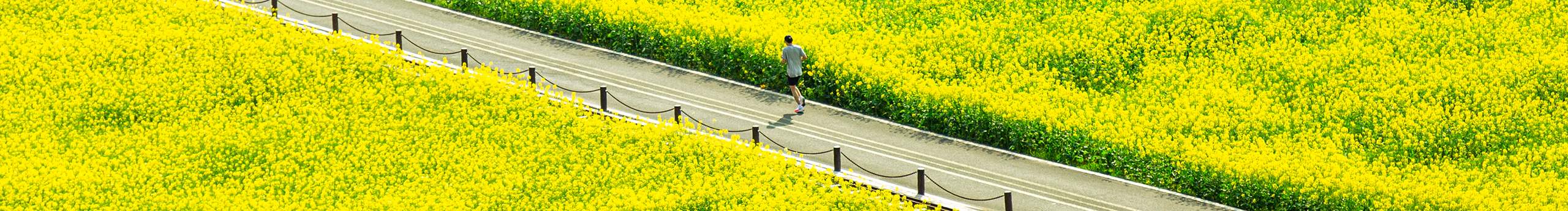 是老胡没错的个人主页（封面预览） - 主页封面设置 - 站酷设计师是老胡没错原创素材 - 站酷ZCOOL