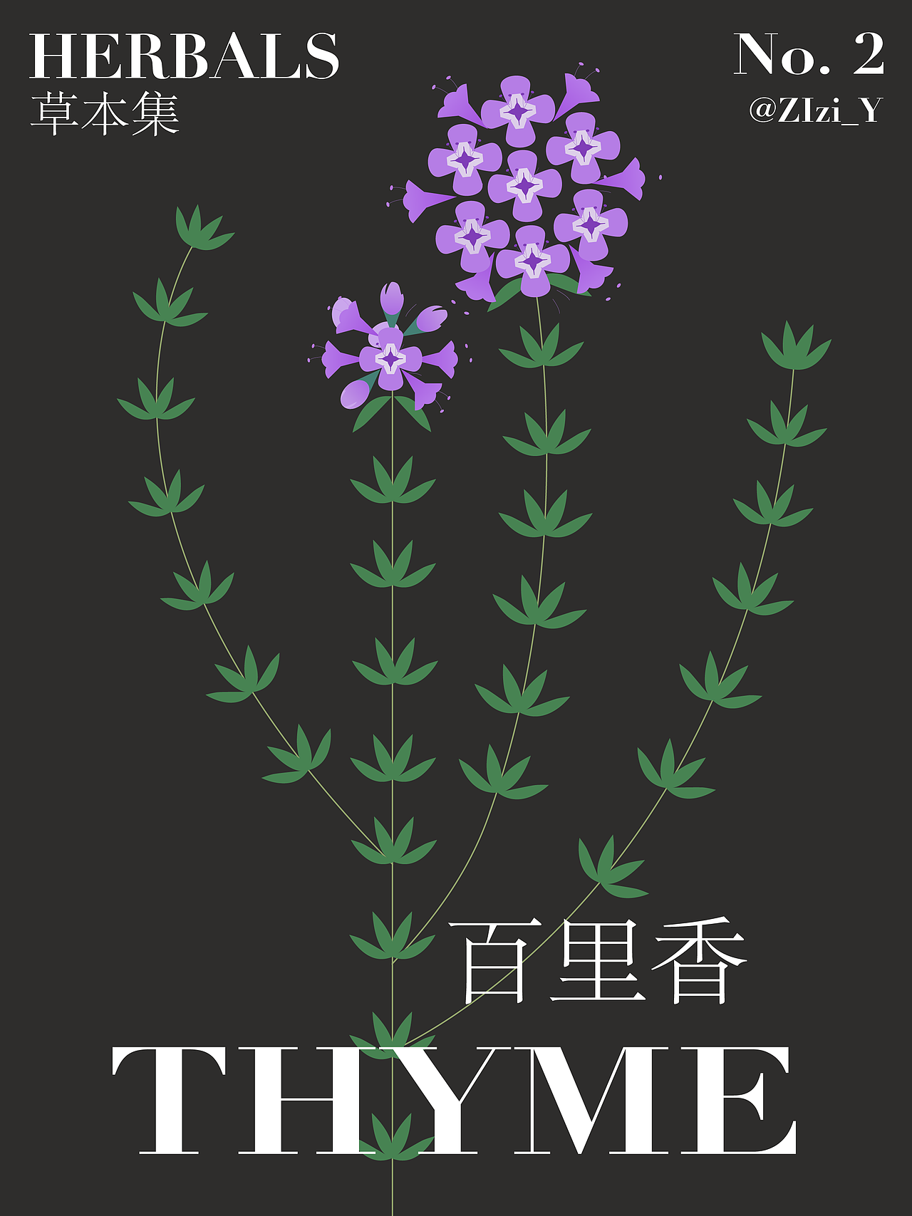 草本植物·草花系列（图ZMzA0NzM0OTg4） - 创作习作 - 站酷设计师ZiasPocketDesign原创素材 - 站酷ZCOOL