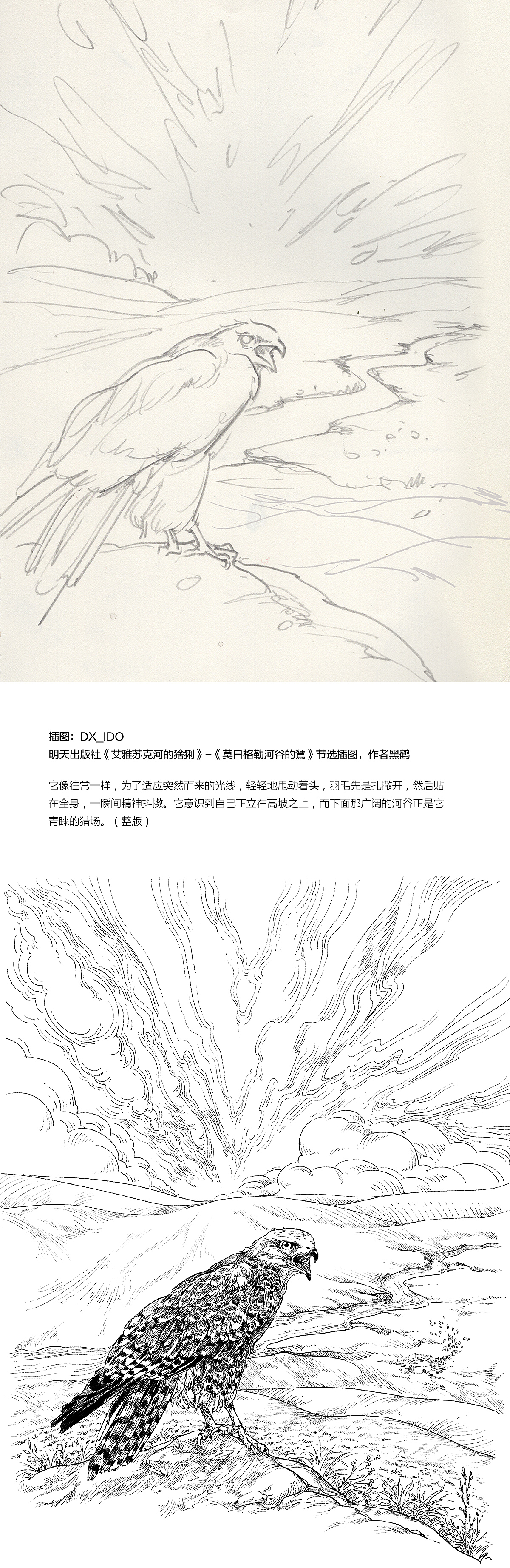 2189 一些插图整理（图ZMTI5NTg5Mjc2） - 绘画 - 站酷设计师DX_IDO原创素材 - 站酷ZCOOL