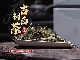 2019古樹(shù)白茶-月光白