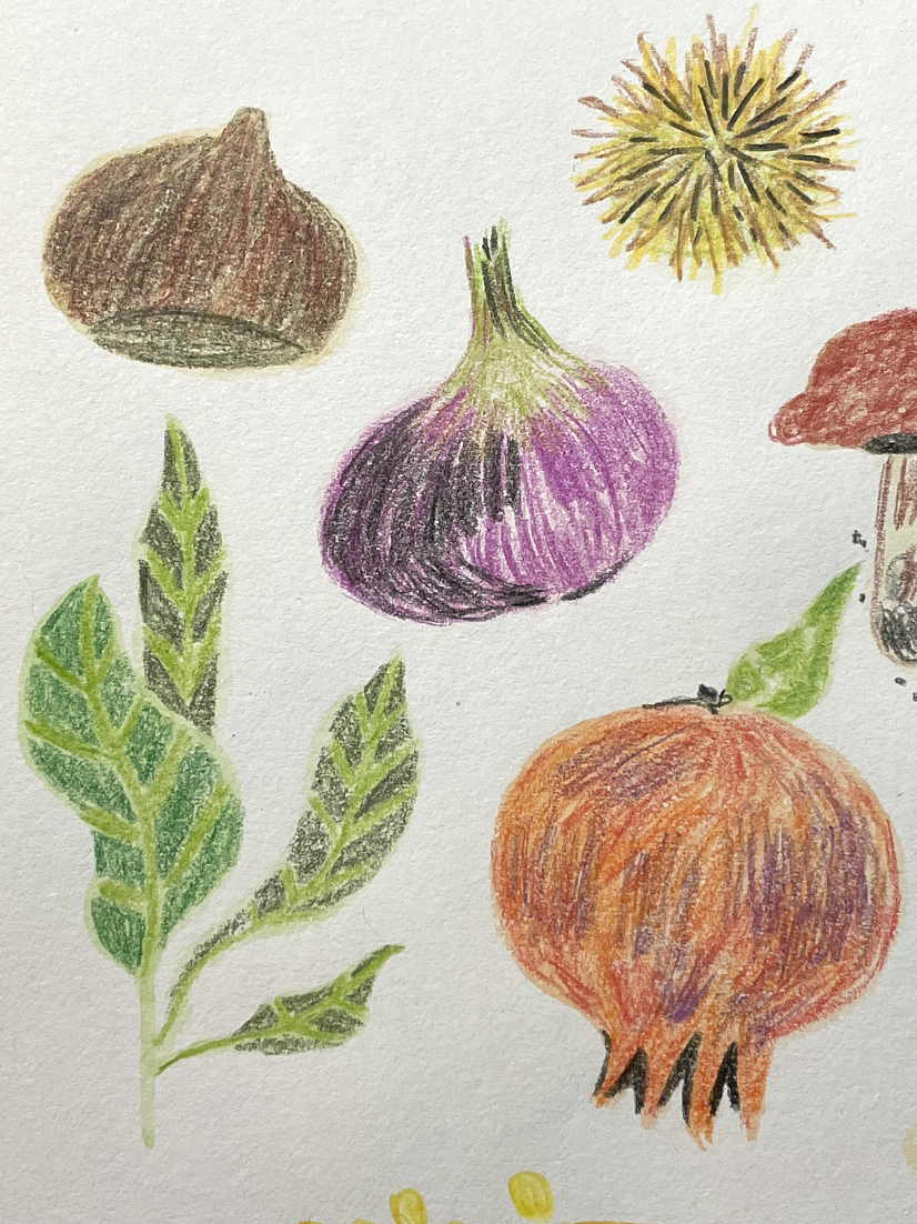 手绘食谱Vol.51 🌰🎃🍄