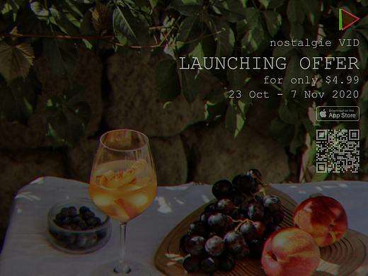 🔺🩲nostalgieVID胶片视频滤镜