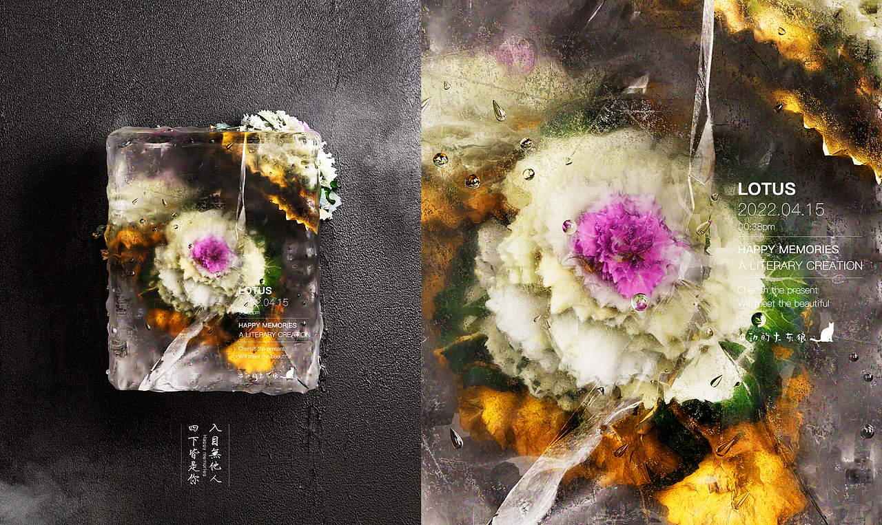 “永生花”——被凍結(jié)的時光（圖ZMjk3NTEyOTky） - 其他三維 - 站酷設(shè)計師矜持的小紅帽原創(chuàng)素材 - 站酷ZCOOL