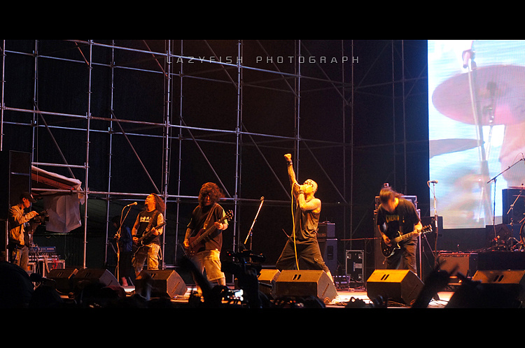 关于迷笛的那点事儿.