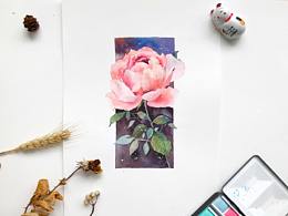 水彩静物、动物