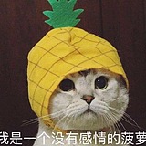 与鲤y的头像