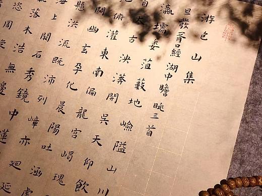 辛丑之春-习书体会