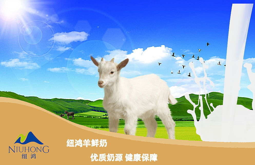 纽鸿羊奶（图ZODQwNjIyMjQ=） - 宣传物料 - 站酷设计师小天使1号原创素材 - 站酷ZCOOL