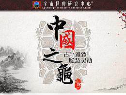 中国龟类大全