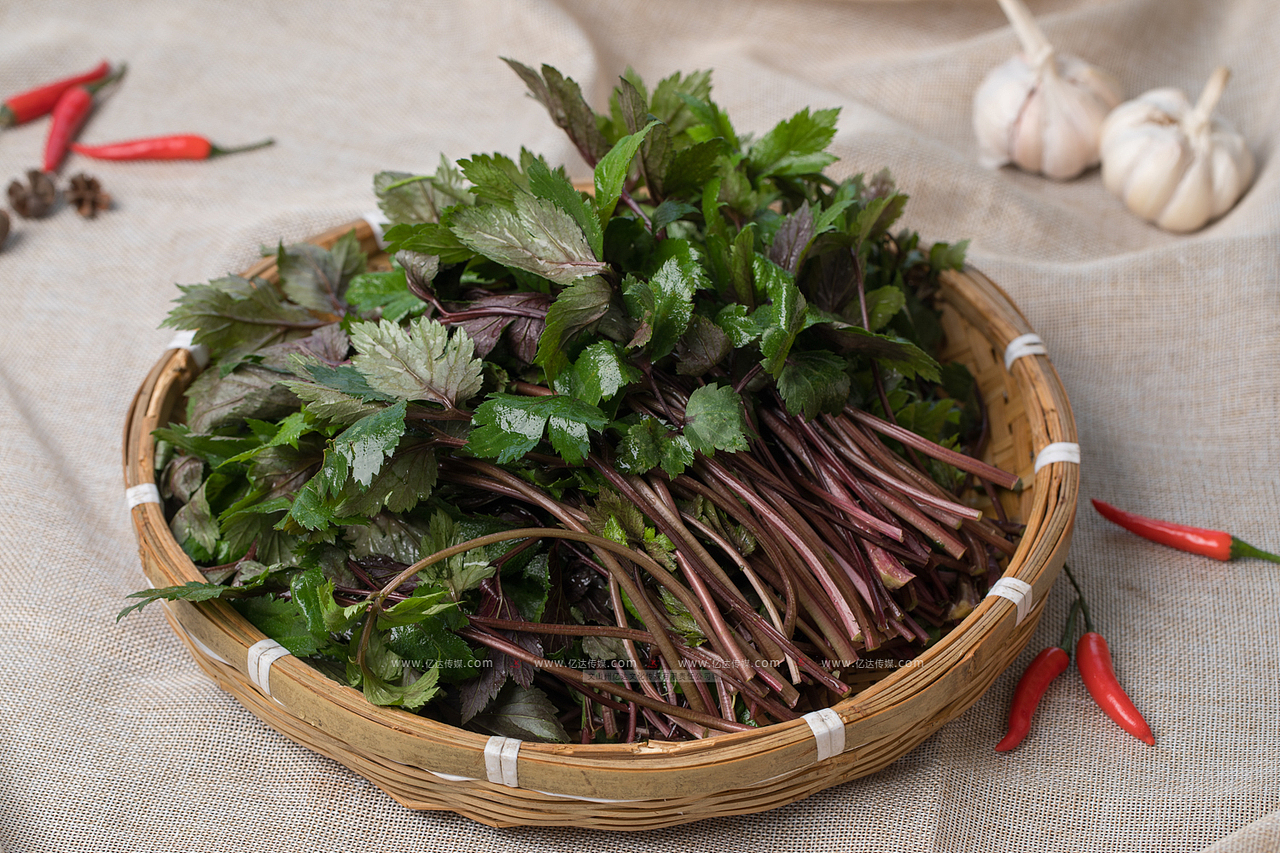 2017 文山本草食园菜品拍摄原图 文山亿达文化传媒