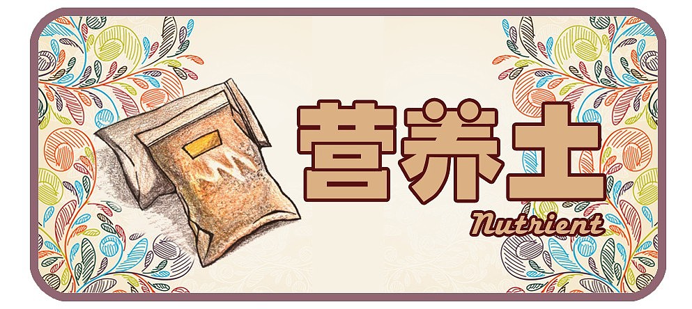 多肉植物的手绘组图（图ZMTEyODg3NTY=） - 图案 - 站酷设计师Kino_原创素材 - 站酷ZCOOL