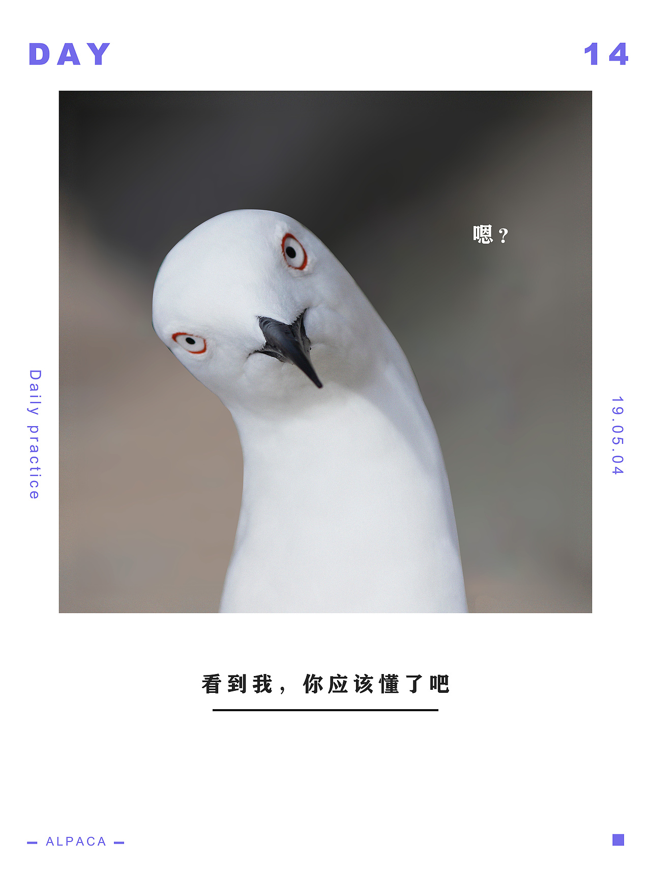 【個(gè)人海報(bào)練習(xí)】04月18日-05月04日（第二周）（圖ZMTU3Mjk1MTE2） - 海報(bào) - 站酷設(shè)計(jì)師Alpaca_oren原創(chuàng)素材 - 站酷ZCOOL