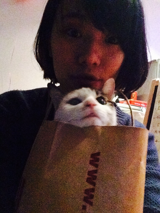 家有蠢猫妹妹（图ZMjU3ODEwMjg=） - 宠物摄影 - 站酷设计师豚豚neko原创素材 - 站酷ZCOOL