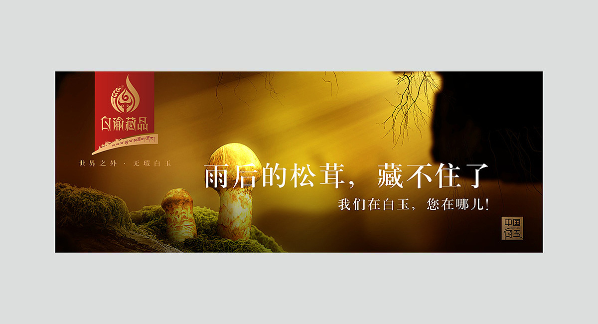 【中国白玉】特色农产品-品牌策划公司