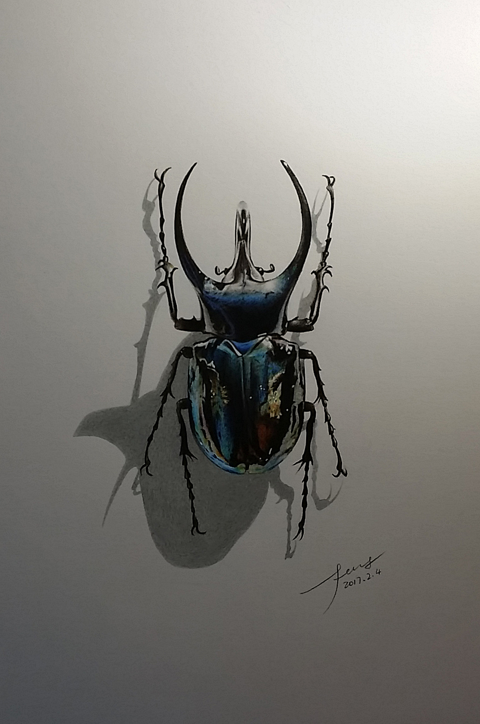 彩铅插画—甲壳虫