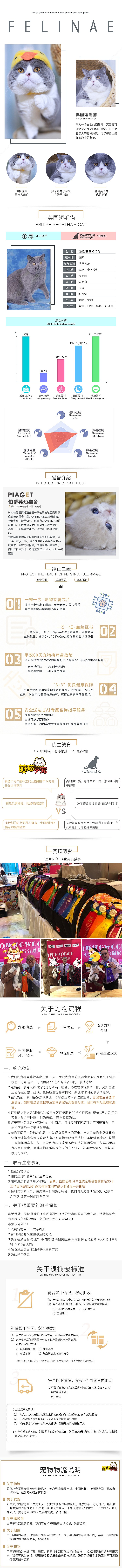 宠物电商首页/详情页