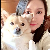 糸氏萌的头像