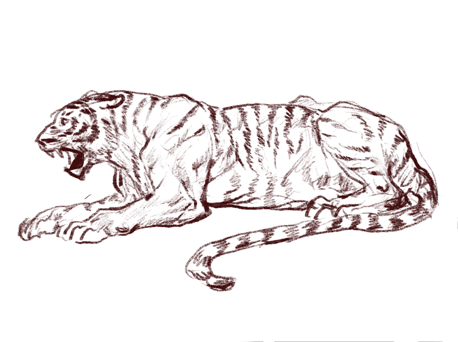 地铁上练习（动物篇）（图ZMTQ4MTk1OTMy） - 创作习作 - 站酷设计师S肚子爱画画D原创素材 - 站酷ZCOOL