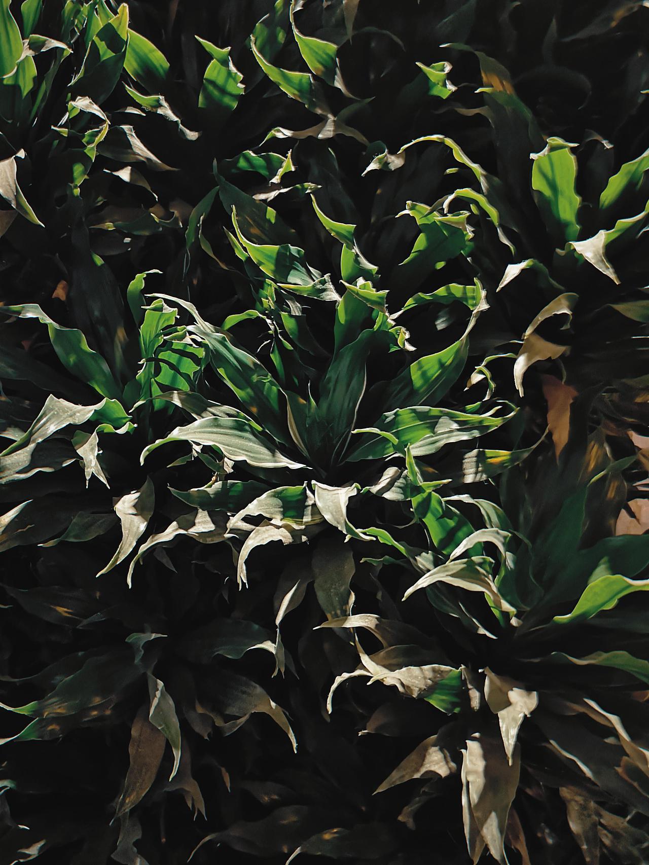 2019年HUAWEI P20 Pro手机摄影作品集（图ZMTk1Nzc4ODUy） - 人文/纪实摄影 - 站酷设计师许晟杰_UNVS原创素材 - 站酷ZCOOL