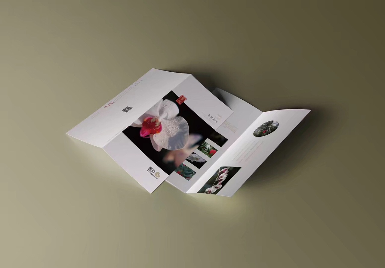 馨怡蝴蝶兰-2折页设计
