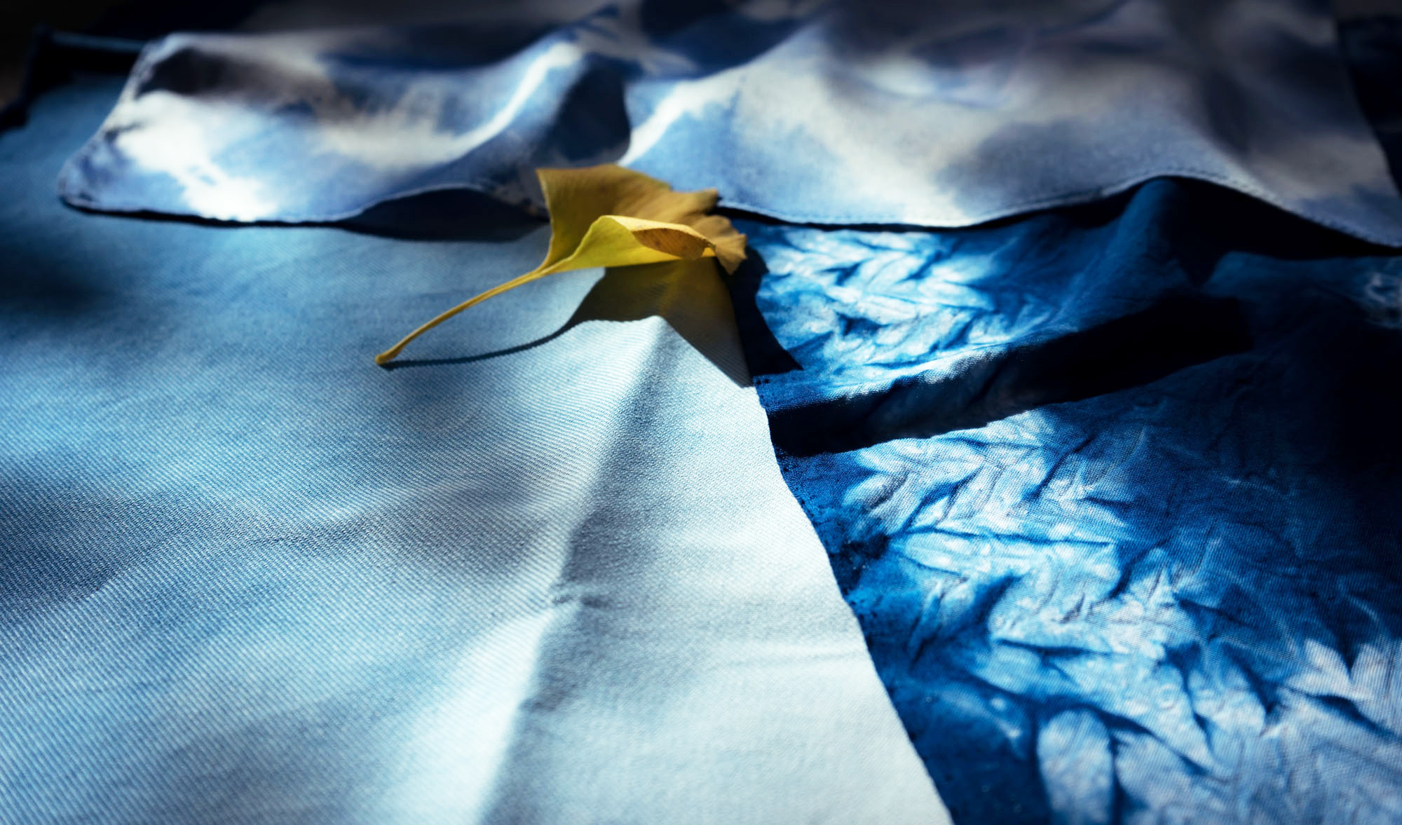 草木染-书籍装帧设计