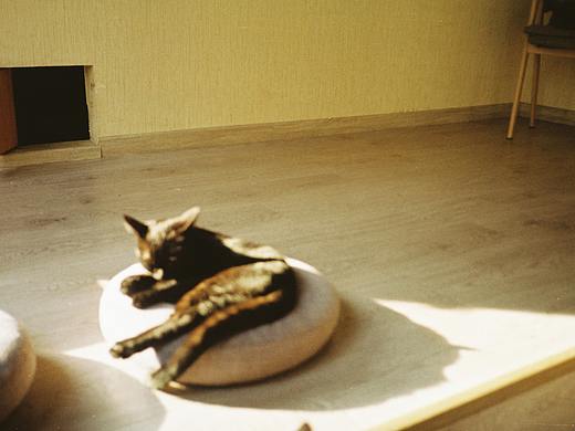 胶片-记录光影（个人主页-ZNDA3MDMwNzY=） - 人像摄影 - 站酷设计师不吃青菜K原创素材 - 站酷ZCOOL