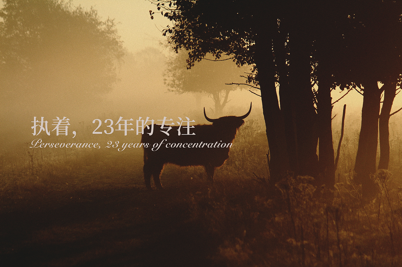 LOGO（图ZMTQ5NTQ4NDky） - 品牌 - 站酷设计师上海百分红品牌原创素材 - 站酷ZCOOL