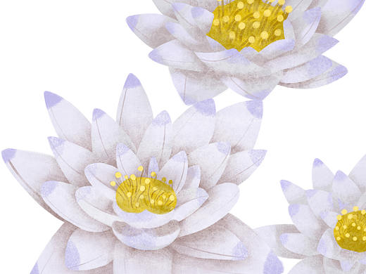 ——进阶日记——（个人主页-ZNDM2ODA0MzI=） - 创作习作 - 站酷设计师孑然换霜雪原创素材 - 站酷ZCOOL