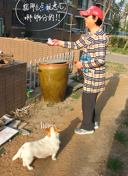 我结交了一群新朋友（图ZMjc2MjE3MTI=） - 文案/策划 - 站酷设计师画师x如也原创素材 - 站酷ZCOOL