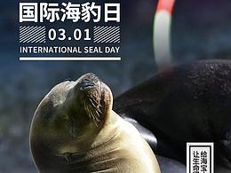 国际海豹日图片,2022国际海豹日文案宣传海报设计