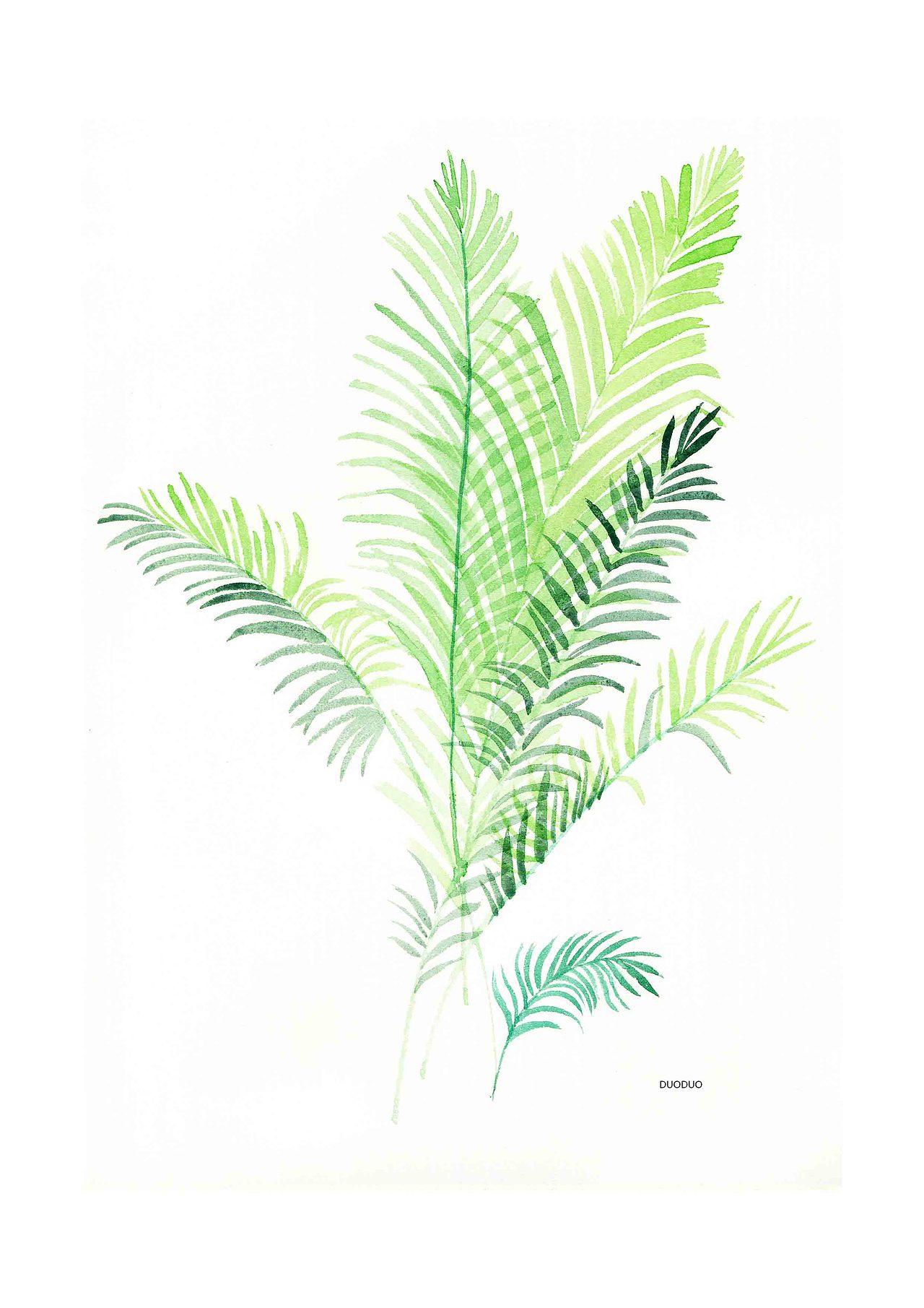 绿色植物|插画|创作习作|哆多_原创作品-站酷(zcool)