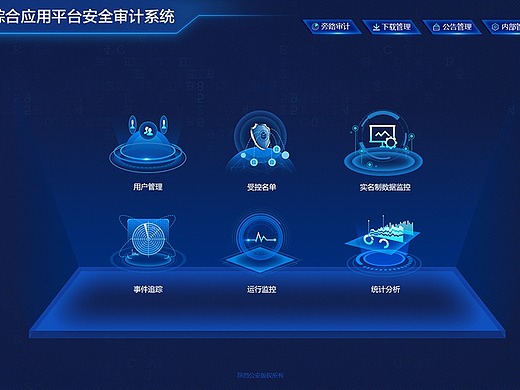政府审计系统登录页