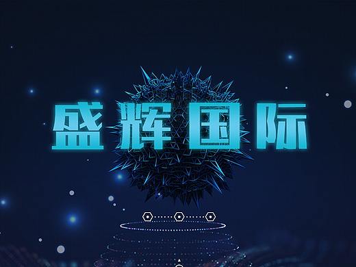 盛辉国际(概念股APP)