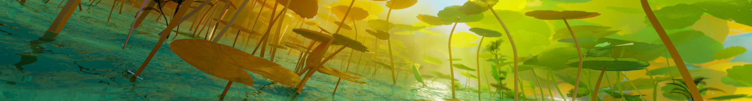 Snell_Studio的個人主頁（封面預(yù)覽） - 主頁封面設(shè)置 - 站酷設(shè)計師Snell_Studio原創(chuàng)素材 - 站酷ZCOOL