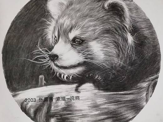 素描课作业