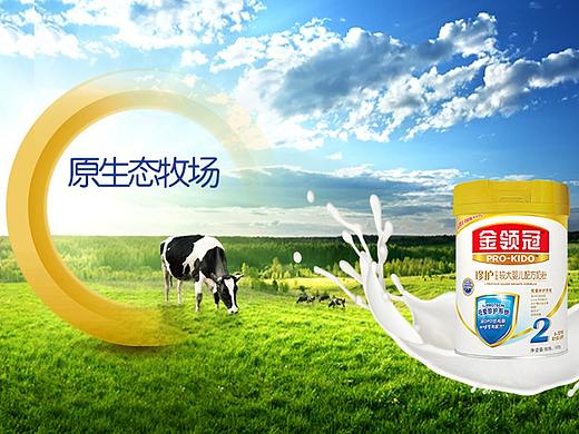 食品奶粉详情页